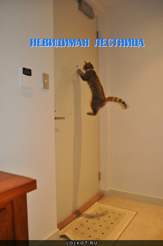 невидимая лестница
