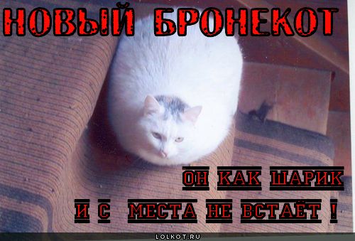 новый бронекот