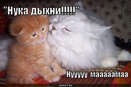 нука дыхни