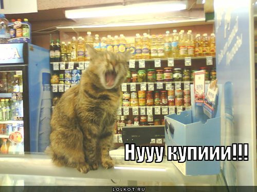 нууу купиии!