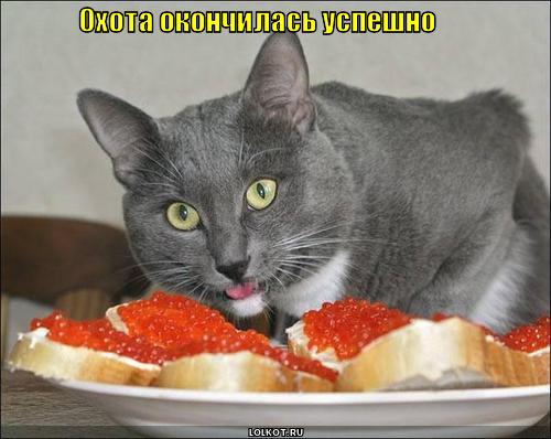 охота