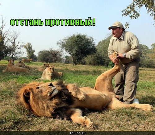 отстань противный