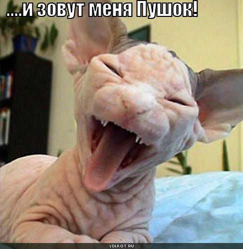 овут меня пушок!
