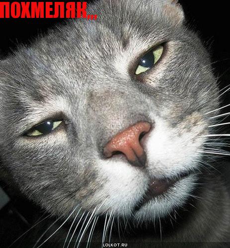 похмеляк,