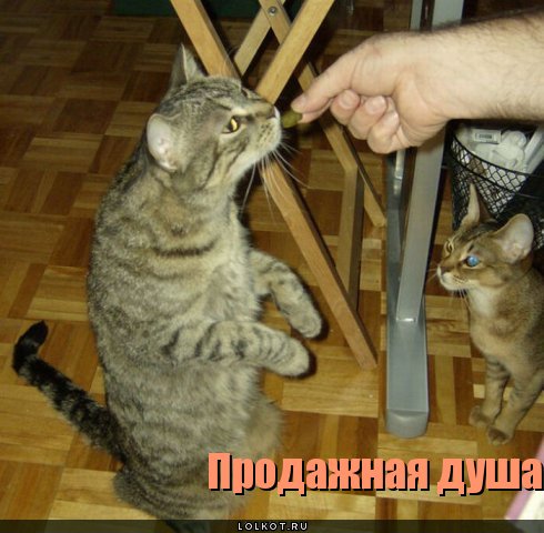 продажная душа