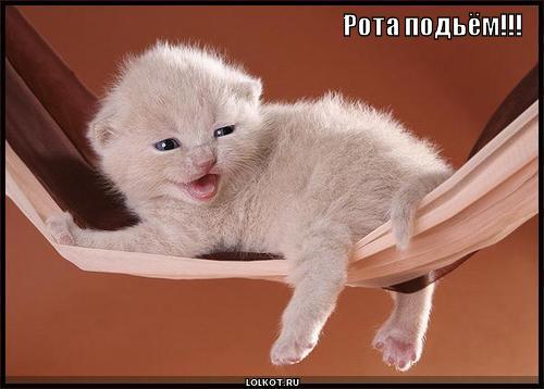 рота подьём!!!