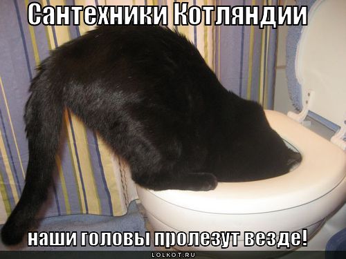 сантехники котляндии