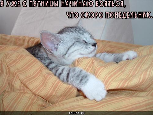 скоро понедельник