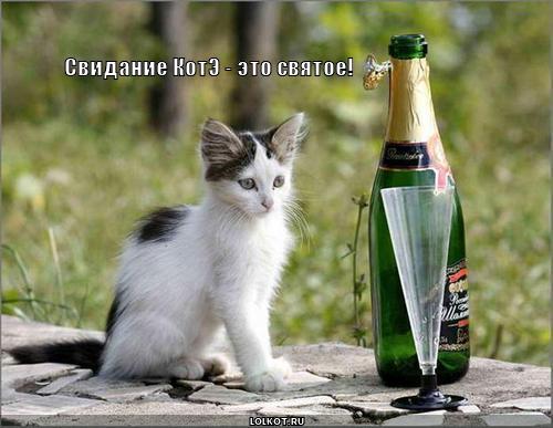 свидание котэ 
