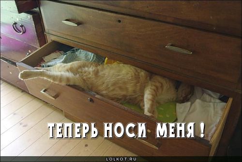 теперь носи меня !