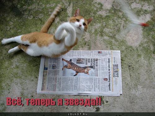 теперь я звезда!!