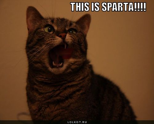 this is sparta!!!!