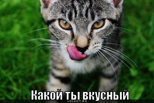ты вкусный