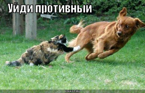 уйди 