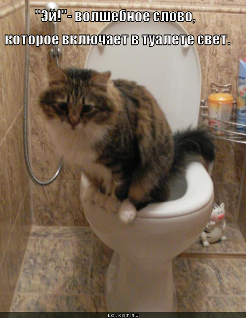 волшебное слово