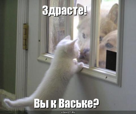 вы к ваське?