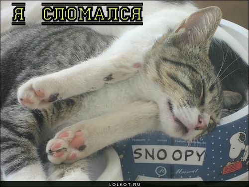 я  сломался