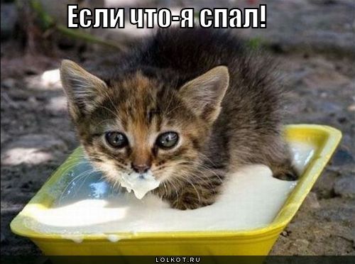 я спал!