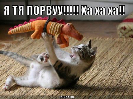 я тя порвуу