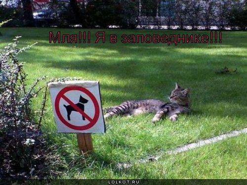 я в заповеднике!!!