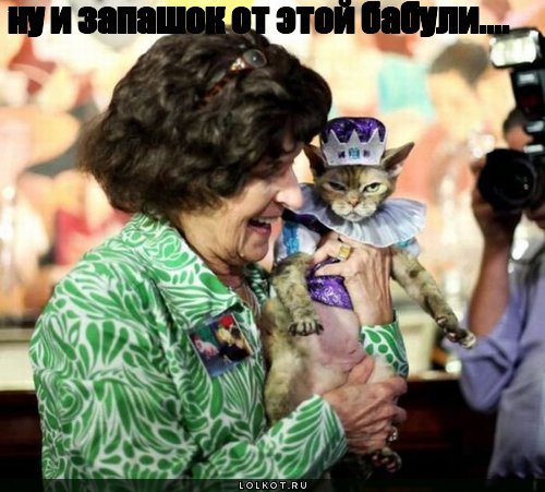 запашок