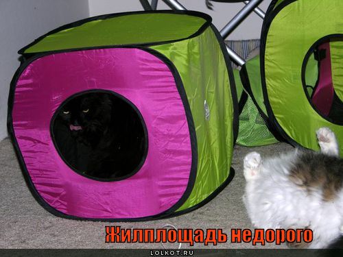 жилплощадь