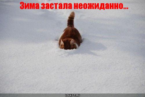 зима застала неожиданно...