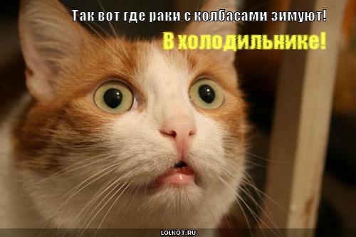 зимовка