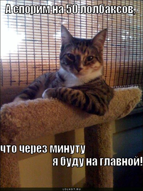 50 лолбаксов
