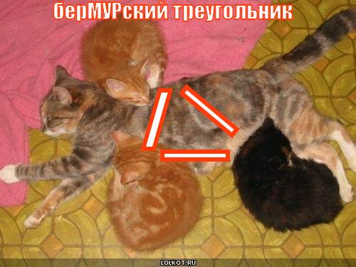 бермурский треугольник