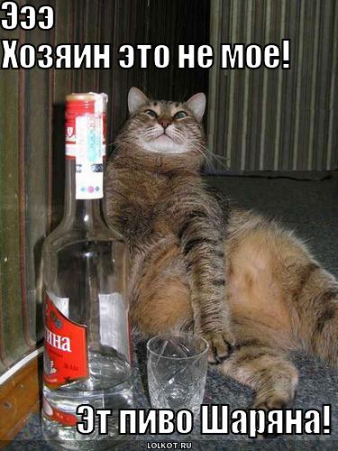 эт пиво шаряна