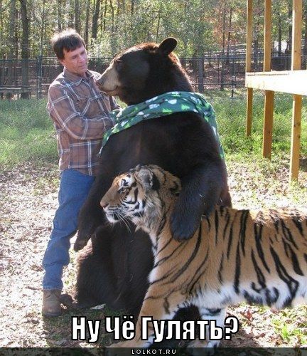 гулять?