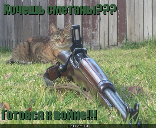 хочешь сметаны