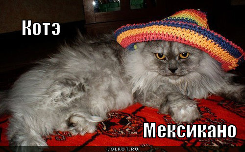 котэ мексикано