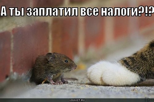 налоги