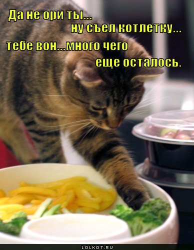 ну съел котлетку