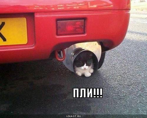 пли!