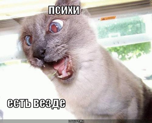 психи 