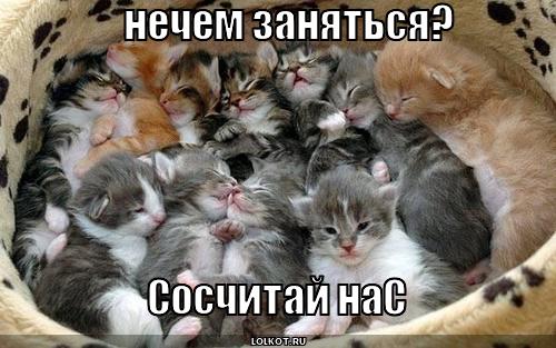 сосчитай нас