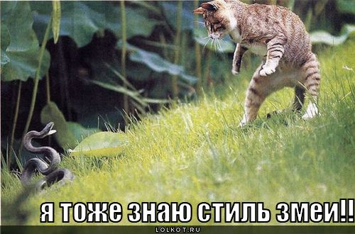 стиль змеи