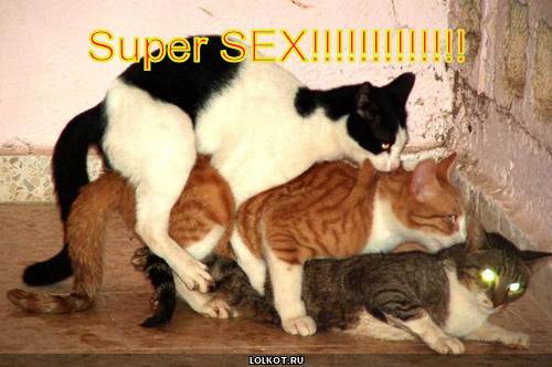 super sex!!!!!!!!!!!!!