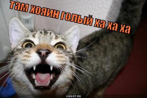 там хояин голый