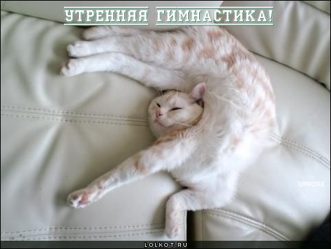 утренняя гимнастика!