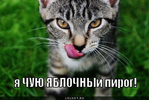 я чую 