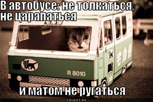 матом не ругаться