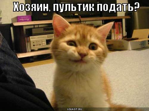 пультик подать?