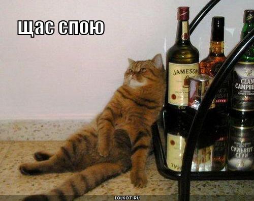 щас спою