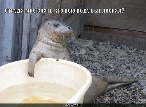 всю воду выплескал