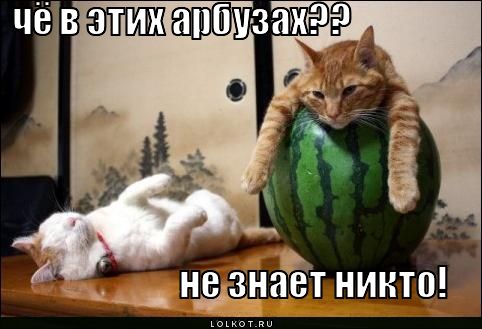 чё в этих арбузах