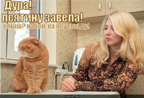 дура!